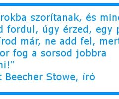 Ha sarokba szorítanak…