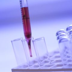 18+ Élő állatokat boncoltak a diákok az iskolai szakkörön