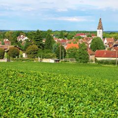 Önkormányzatok a helyi turizmus motorjai – így segítheti települését a 2025-ös Falusi Turizmus pályázat